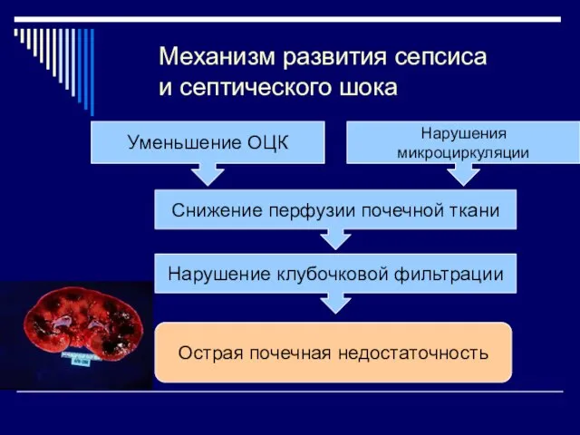 Механизм развития сепсиса и септического шока Уменьшение ОЦК Нарушения микроциркуляции Снижение