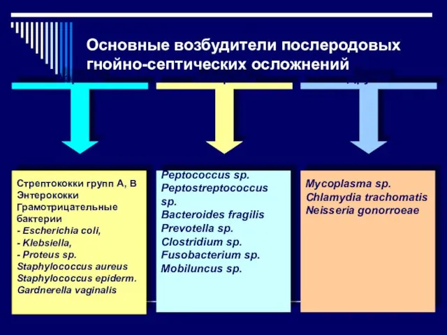 Основные возбудители послеродовых гнойно-септических осложнений Аэробы Анаэробы Другие Мycoplasma sp. Chlamydia