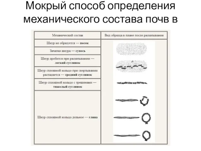 Мокрый способ определения механического состава почв в поле