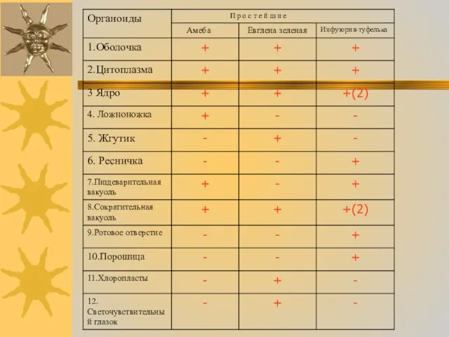 « Сходство и различие простейших»