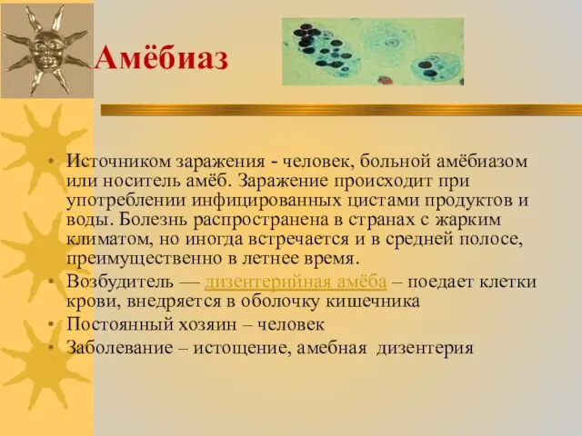 Амёбиаз Источником заражения - человек, больной амёбиазом или носитель амёб. Заражение