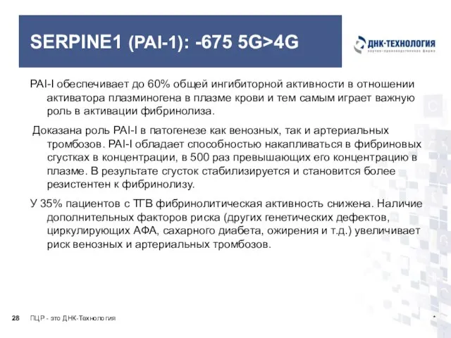 SERPINE1 (PAI-1): -675 5G>4G PAI-I обеспечивает до 60% общей ингибиторной активности