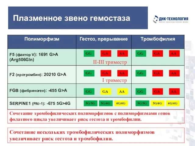 Плазменное звено гемостаза GG GA AA GG GA AA GG GA