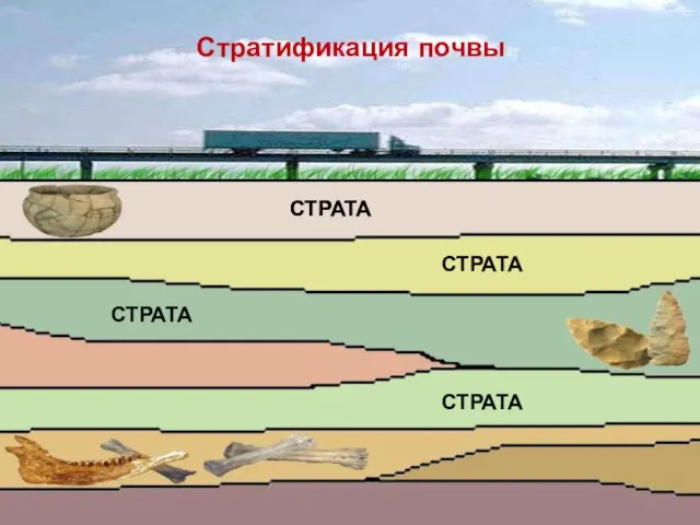 Стратификация почвы СТРАТА СТРАТА СТРАТА СТРАТА СТРАТА