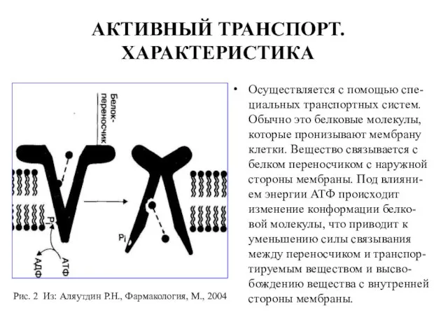 АКТИВНЫЙ ТРАНСПОРТ. ХАРАКТЕРИСТИКА Осуществляется с помощью спе-циальных транспортных систем. Обычно это