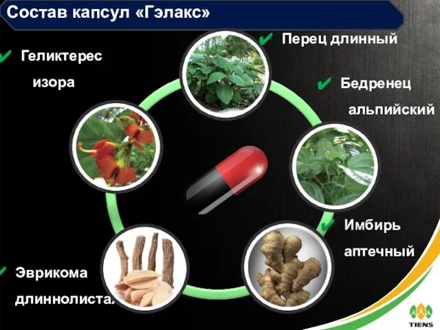 Состав капсул «Гэлакс» Эврикома длиннолистая Перец длинный Геликтерес изора Имбирь аптечный Бедренец альпийский