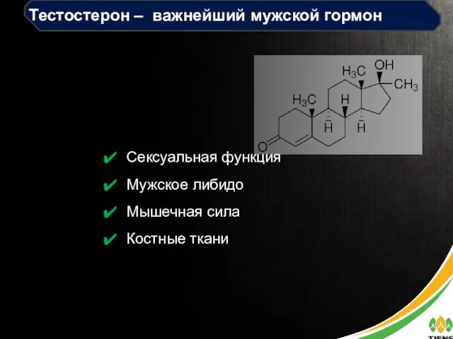 Тестостерон – важнейший мужской гормон Сексуальная функция Мужское либидо Мышечная сила Костные ткани