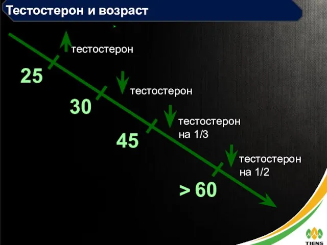 25 30 45 60 тестостерон тестостерон Тестостерон и возраст тестостерон на 1/3 тестостерон на 1/2