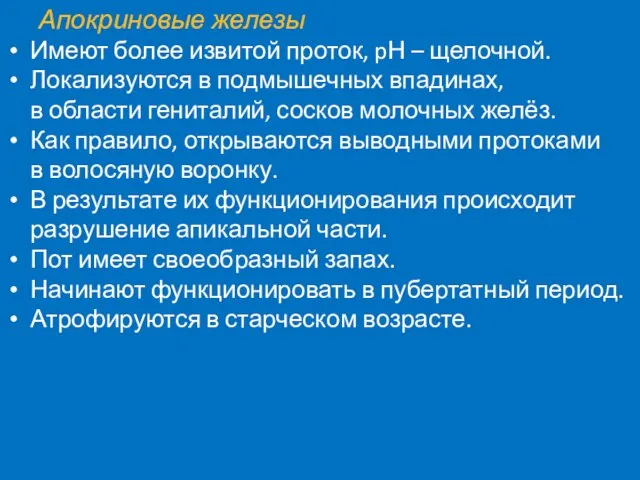 Апокриновые железы Имеют более извитой проток, pН – щелочной. Локализуются в