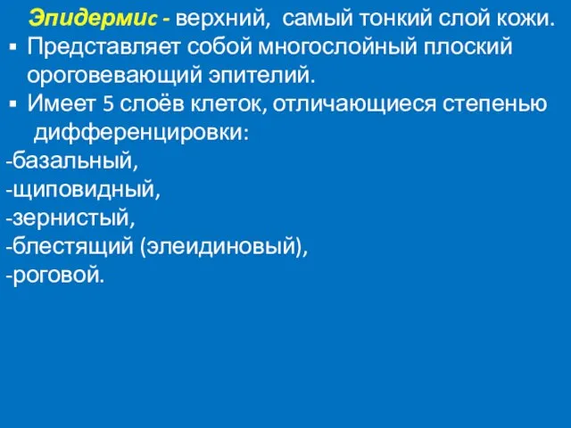 Эпидермиc - верхний, самый тонкий слой кожи. Представляет собой многослойный плоский