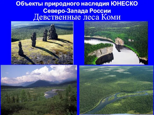 Объекты природного наследия ЮНЕСКО Северо-Запада России Девственные леса Коми