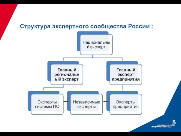 Структура экспертного сообщества России :