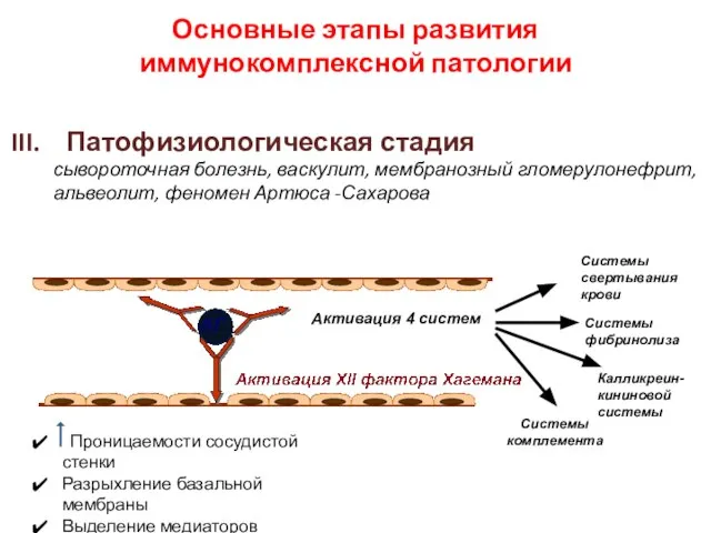 Патофизиологическая стадия сывороточная болезнь, васкулит, мембранозный гломерулонефрит, альвеолит, феномен Артюса -Сахарова