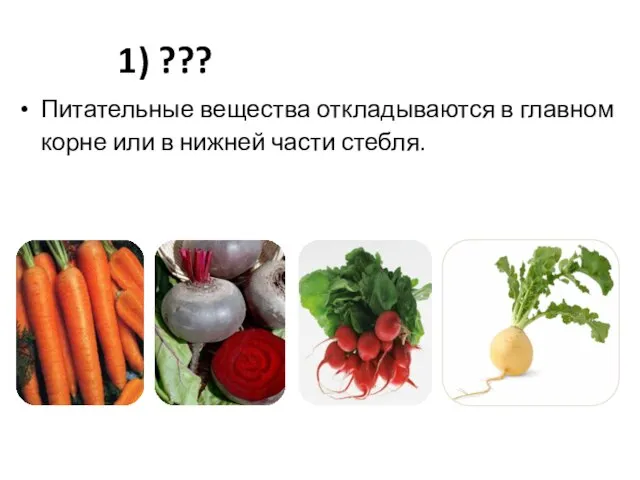 1) ??? Питательные вещества откладываются в главном корне или в нижней части стебля.