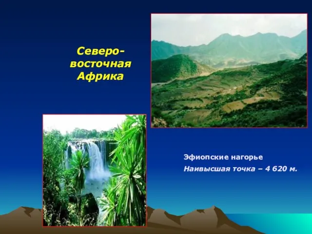 Эфиопские нагорье Наивысшая точка – 4 620 м. Северо-восточная Африка