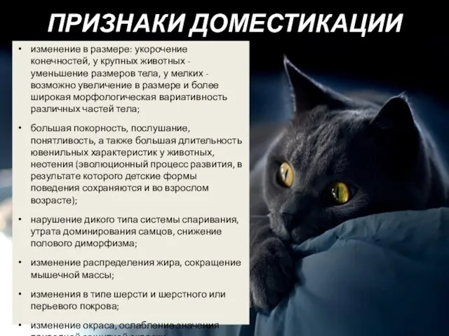 ПРИЗНАКИ ДОМЕСТИКАЦИИ изменение в размере: укорочение конечностей, у крупных животных -