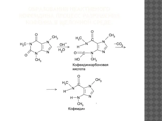 ОБРАЗОВАНИЯ НЕАКТИВНОГО КОФЕИДИНА.ПРОЦЕСС РАЗРУШЕНИЯ КОФЕИНА В ЩЕЛОЧНОЙ СРЕДЕ.