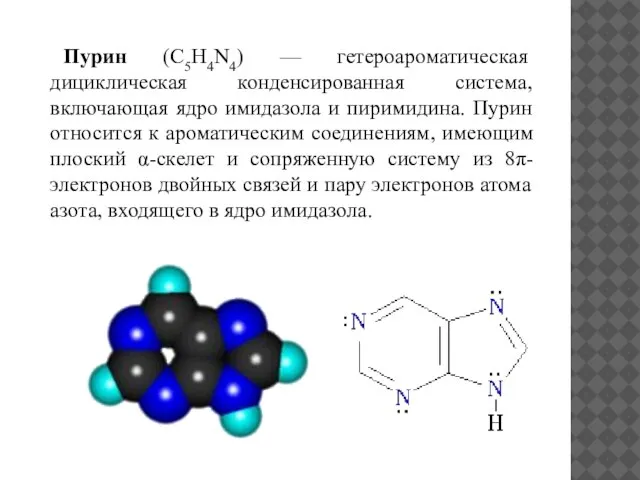 Пурин (С5H4N4) — гетероароматическая дициклическая конденсированная система, включающая ядро имидазола и
