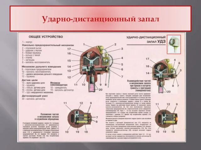 Ударно-дистанционный запал