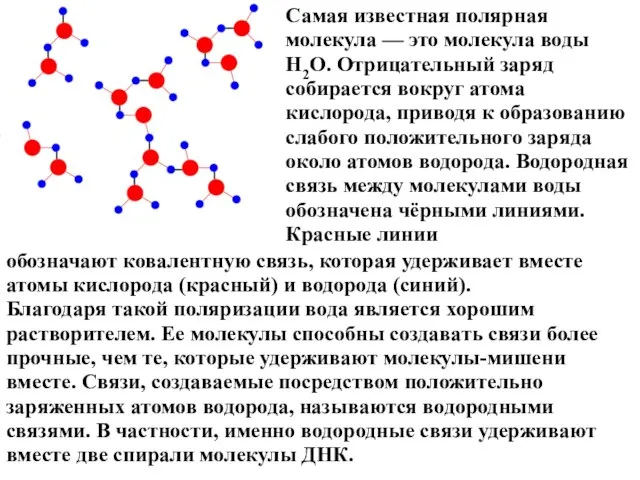 Самая известная полярная молекула — это молекула воды H2O. Отрицательный заряд