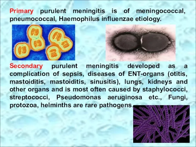 Primary purulent meningitis is of meningococcal, pneumococcal, Haemophilus influenzae etiology. Secondary
