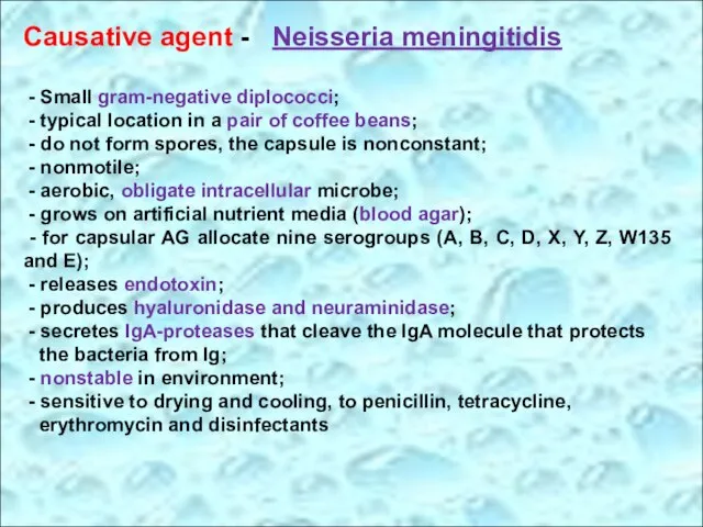 Causative agent - Neisseria meningitidis - Small gram-negative diplococci; - typical