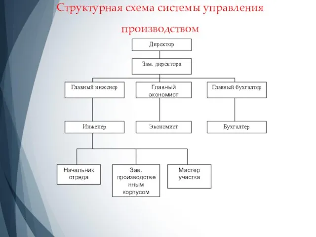 Структурная схема системы управления производством Директор Главный инженер Зам. директора Главный