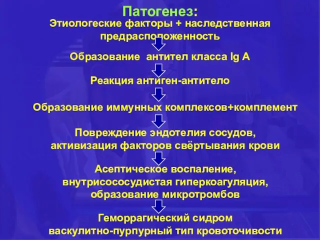 Патогенез: Этиологеские факторы + наследственная предрасположенность Образование антител класса Ig A