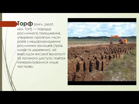 Торф (англ. peat, нім. Torf) — порода рослинного походження, утворена протягом