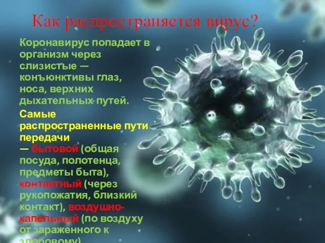 Как распространяется вирус? Коронавирус попадает в организм через слизистые — конъюнктивы