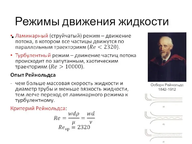 Режимы движения жидкости Осборн Рейнольдс 1842-1912