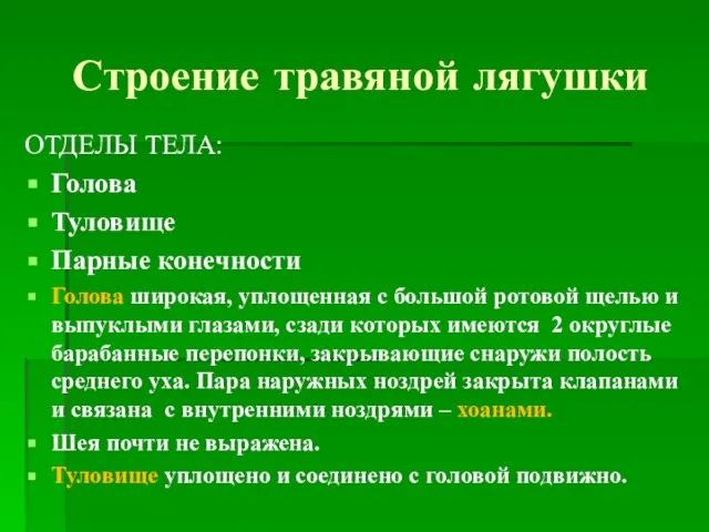 Строение травяной лягушки ОТДЕЛЫ ТЕЛА: Голова Туловище Парные конечности Голова широкая,