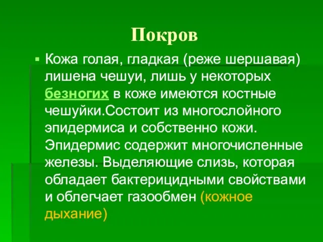 Покров Кожа голая, гладкая (реже шершавая) лишена чешуи, лишь у некоторых