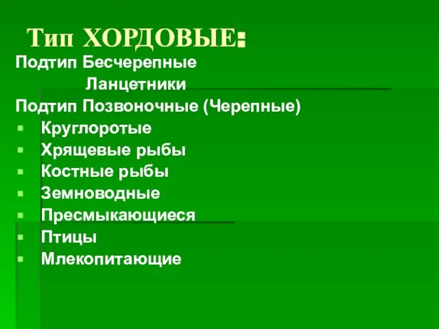 Тип ХОРДОВЫЕ: Подтип Бесчерепные Ланцетники Подтип Позвоночные (Черепные) Круглоротые Хрящевые рыбы