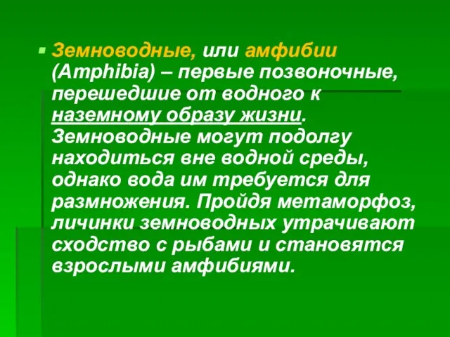 Земноводные, или амфибии (Amphibia) – первые позвоночные, перешедшие от водного к