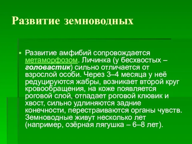 Развитие земноводных Развитие амфибий сопровождается метаморфозом. Личинка (у бесхвостых – головастик)