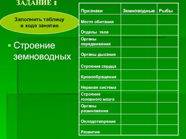 ЗАДАНИЕ : Строение земноводных Заполнить таблицу в ходе занятия