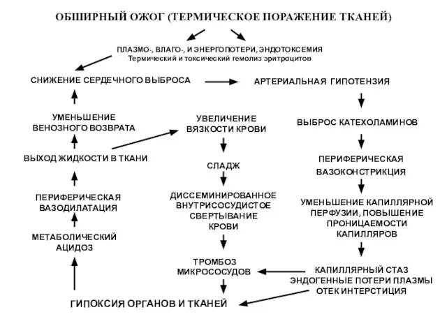 ОБШИРНЫЙ ОЖОГ (ТЕРМИЧЕСКОЕ ПОРАЖЕНИЕ ТКАНЕЙ) ПЛАЗМО-, ВЛАГО-, И ЭНЕРГОПОТЕРИ, ЭНДОТОКСЕМИЯ Термический