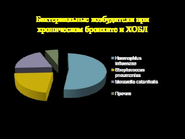 Бактериальные возбудители при хроническом бронхите и ХОБЛ