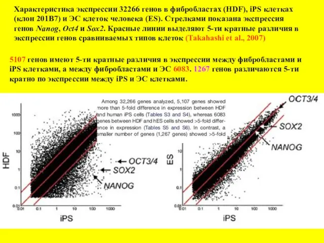 Характеристика экспрессии 32266 генов в фибробластах (HDF), iPS клетках (клон 201В7)