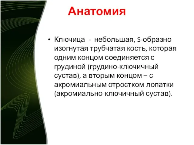 Анатомия Ключица - небольшая, S-образно изогнутая трубчатая кость, которая одним концом