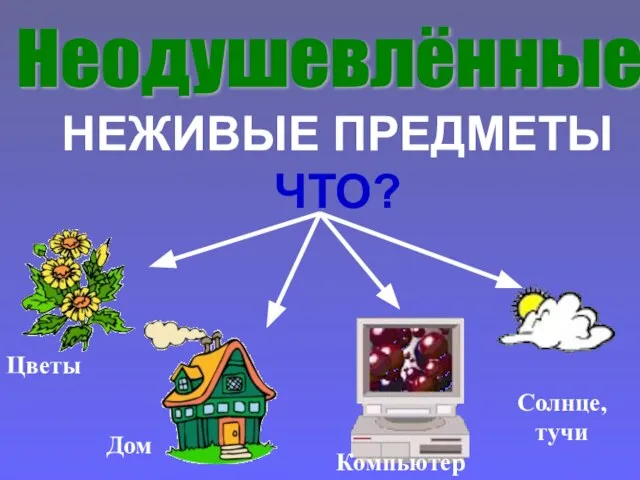 НЕЖИВЫЕ ПРЕДМЕТЫ ЧТО? Цветы Дом Компьютер Солнце, тучи Неодушевлённые