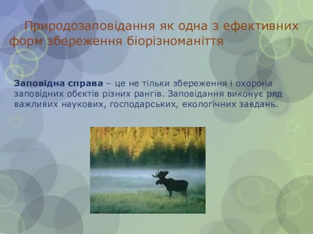 Природозаповідання як одна з ефективних форм збереження біорізноманіття Заповідна справа –