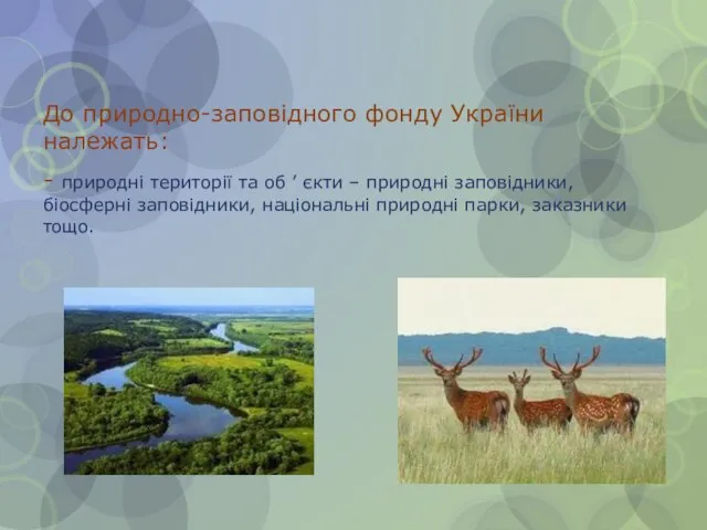 До природно-заповідного фонду України належать: - природні території та об ’