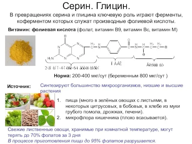 Серин. Глицин. В превращениях серина и глицина ключевую роль играют ферменты,