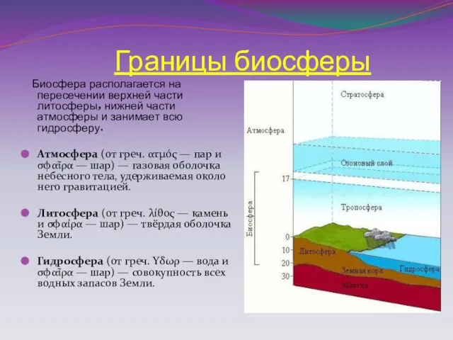 Границы биосферы Биосфера располагается на пересечении верхней части литосферы, нижней части