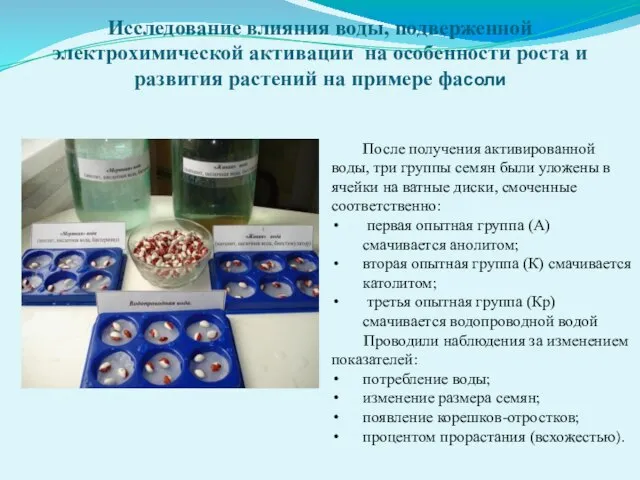 Исследование влияния воды, подверженной электрохимической активации на особенности роста и развития