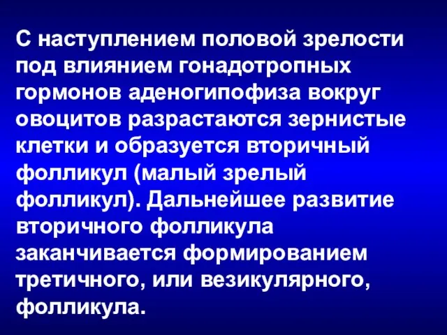 С наступлением половой зрелости под влиянием гонадотропных гормонов аденогипофиза вокруг овоцитов