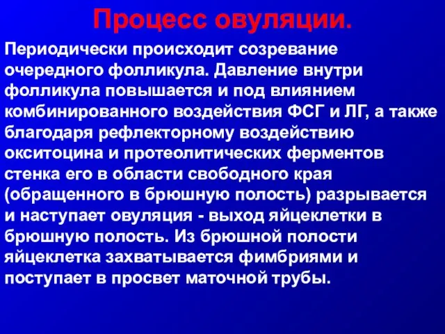 Процесс овуляции. Периодически происходит созревание очередного фолликула. Давление внутри фолликула повышается