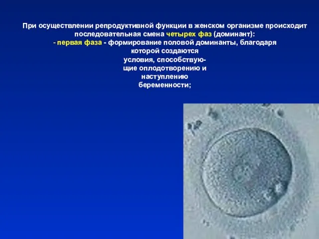 При осуществлении репродуктивной функции в женском организме происходит последовательная смена четырех